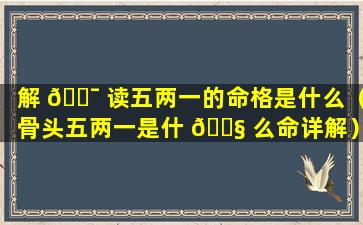 解 🐯 读五两一的命格是什么（骨头五两一是什 🐧 么命详解）